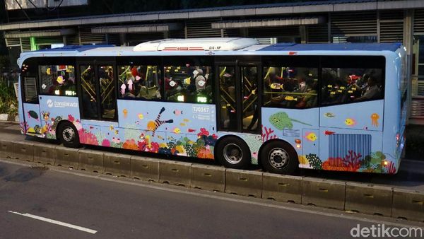 Lucu, Badan Busway Ini Bergambar Ekosistem Laut