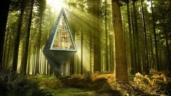 Rumah Pohon Gokil, dari Bentuk UFO Hingga Kamuflase
