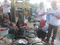 Pantau Mutu Ikan, BKIPM Sidak Pasar Modern dan Tradisional