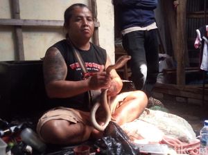 Ada Darah dan Daging Kobra Dijual di Pasar Hewan Ambarawa