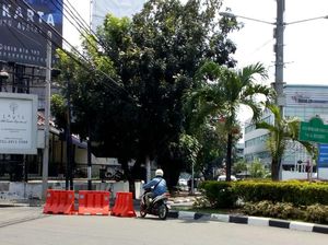 Sudah Dihadang Tetap Saja Lawan Arus Sudah Dihadang Tetap Saja Lawan Arus