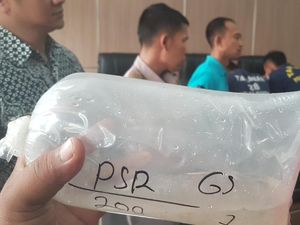 Nelayan Dilarang Ambil Benih Lobster karena Ancam Ekosistem