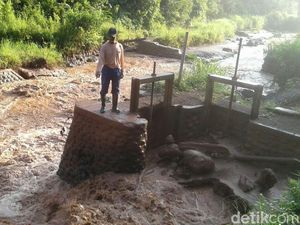 Sungai Ini Dulu Terbersih se-Banyuwangi, Sekarang Begini Kondisinya