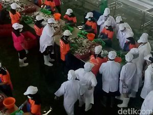 BPOM Lakukan Audit Pabrik Pengalengan Makarel, Ini Hasilnya BPOM Lakukan Audit Pabrik Pengalengan Makarel, Ini Hasilnya