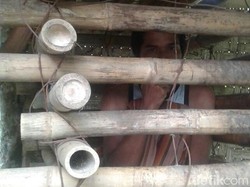 Setelah 18 Tahun Dipasung, Prayitno Akhirnya Bebas