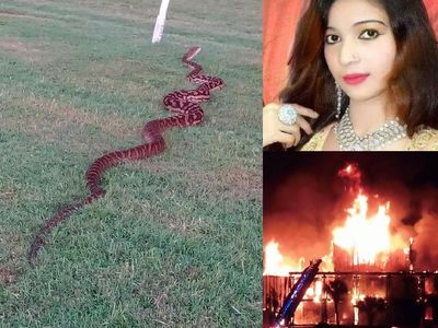 Riuh Dunia dalam Gambar: 3.000 Bangkai Ayam, Robot Gundam 7,3 Ton