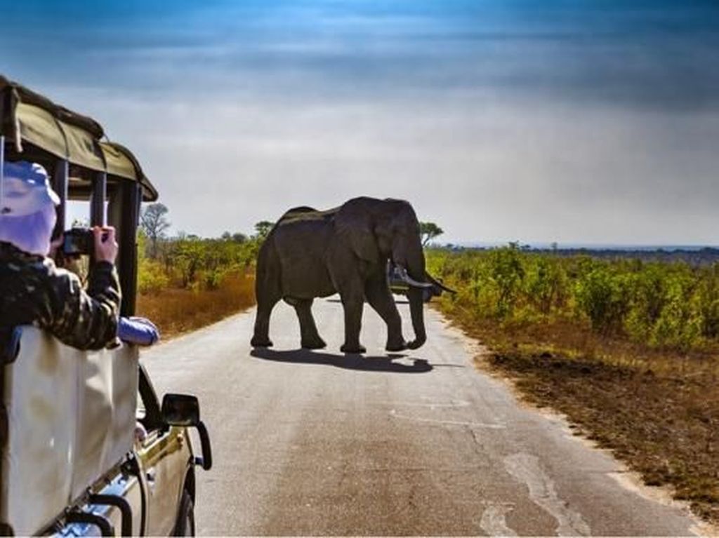 5 Surga Wisata yang Wajib Dikunjungi di Afrika Selatan 5 Surga Wisata yang Wajib Dikunjungi di Afrika Selatan