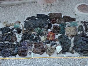 Susi: 2030 Lebih Banyak Plastik Daripada Ikan di Laut