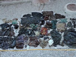 Susi: 2030 Lebih Banyak Plastik Daripada Ikan di Laut