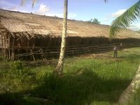 Rumah adat Suku Asmat