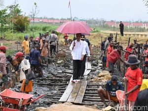 Berpayung Merah, Jokowi Tinjau Program Padat Karya di Sorong