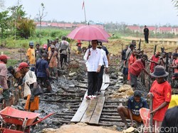 Berpayung Merah, Jokowi Tinjau Program Padat Karya di Sorong