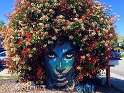 Bunga Bermekaran Hiasi Mural Penghormatan untuk Musisi Prince