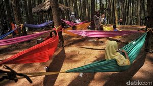 Pesona Wisata Hutan Pinus Pengger