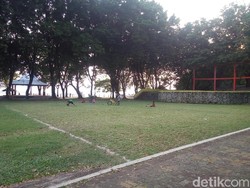 Polisi Kejar Semua yang Terlibat Tari Erotis di Pantai Kartini