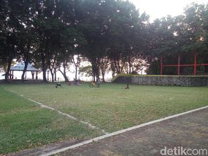 Polisi Kejar Semua yang Terlibat Tari Erotis di Pantai Kartini Polisi Kejar Semua yang Terlibat Tari Erotis di Pantai Kartini