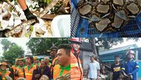 Ini Deretan Ular yang Muncul di Jakarta dalam 4 Bulan Terakhir