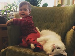 Benarkah Tinggal dengan Kucing & Anjing Bisa Bermanfaat bagi Anak Kecil?