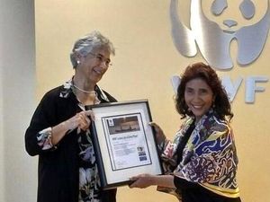 Gaya Menteri Jokowi Saat Sabet Penghargaan Internasional