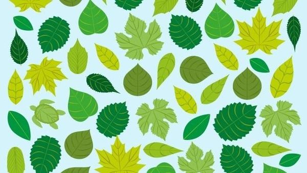 Ketahui Apakah Anda Introvert, Ekstrovert, atau Ambivert, Lewat Tes Ini