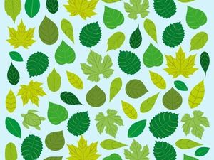 Ketahui Apakah Anda Introvert, Ekstrovert, atau Ambivert, Lewat Tes Ini