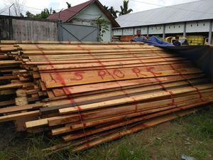 KLHK Gerebek Pabrik Kayu Ilegal di Kalimantan Barat