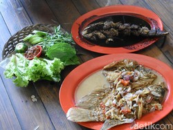 Nikmat! Menyantap Gurame dan Gabus Pucung yang Fresh Banget