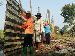 600 Hektare Lahan Sulit Air, Petani Mojokerto Swadaya Bangun Tanggul