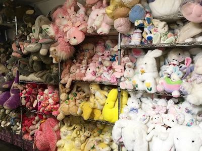 Museum Serba Kelinci, Gemas Banget!