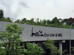 Perhatian! Jembatan Ini Khusus untuk Hewan