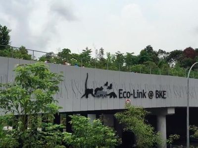 Perhatian! Jembatan Ini Khusus untuk Hewan