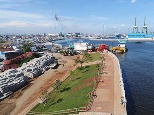 Soal Peluang Tanggul Laut Raksasa Pakai Mangrove, KKP Bilang Begini