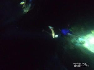 Mengikuti Perburuan Ikan Secara Tradisional di Laut Maluku