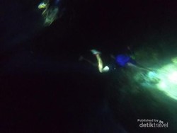 Mengikuti Perburuan Ikan Secara Tradisional di Laut Maluku