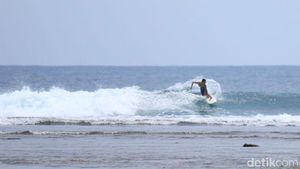 Foto: Surfing di Lampung, Oke Banget!