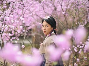 Foto: Dian Sastro, Hanbok & Sakura Bersemi di Korea Foto: Dian Sastro, Hanbok & Sakura Bersemi di Korea