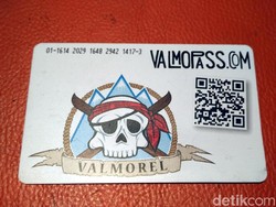 Ini Kartu Sakti Buat Main Ski di Prancis