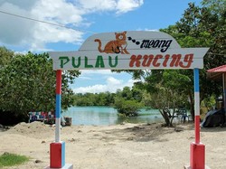 Sama Seperti Jepang, Indonesia Juga Punya Pulau Kucing