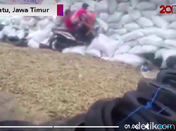 Tentang Ekstremnya Turunan Cangar-Pacet dan Motor Terbang