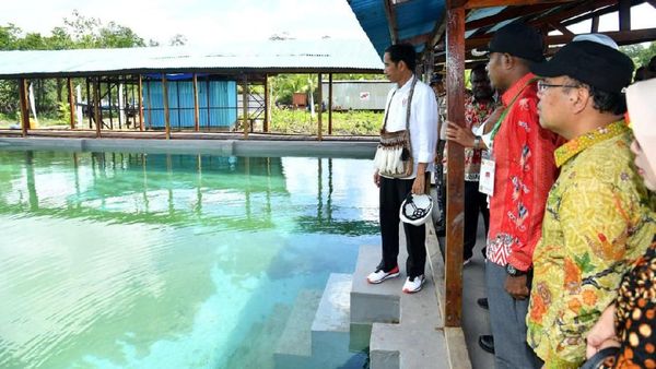 Proyek Penyediaan Air Bersih di Asmat yang Sempat Dicek Jokowi