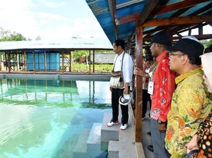 Proyek Penyediaan Air Bersih di Asmat yang Sempat Dicek Jokowi Proyek Penyediaan Air Bersih di Asmat yang Sempat Dicek Jokowi