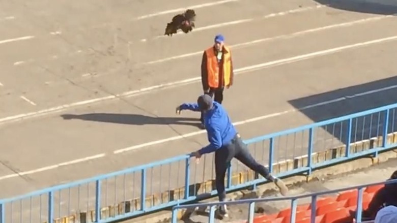 Fans di Rusia Lempar Ayam ke Lapangan di Tengah Pertandingan Fans di Rusia Lempar Ayam ke Lapangan di Tengah Pertandingan
