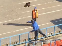 Fans di Rusia Lempar Ayam ke Lapangan di Tengah Pertandingan