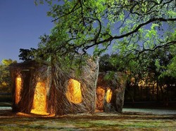 Mau Masuk ke Sarang Burung Raksasa?