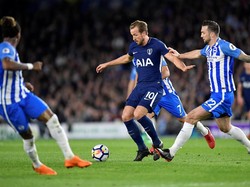Brighton vs Tottenham Sementara Masih 0-0