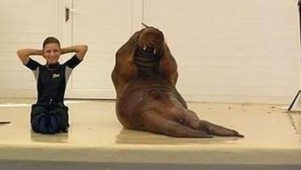 Foto: Begini Penampakan Lucunya Hewan-hewan Kalau Lagi Asyik Olahraga