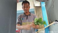 Foto: Sosok Pria yang Tak Lagi Bernama Kentut