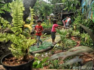 Nyamannya Ruang Terbuka Hijau di Rawa Badak Jakut