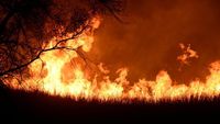 Foto: Dahsyatnya Kebakaran Hutan 97,5 Hektare di Oklahoma
