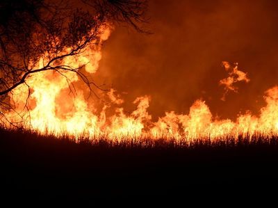 Foto: Dahsyatnya Kebakaran Hutan 97,5 Hektare di Oklahoma